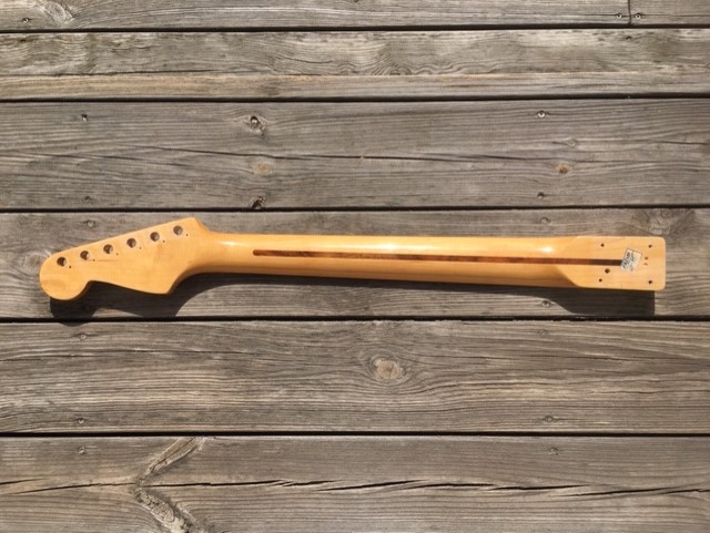 Squier2.jpg