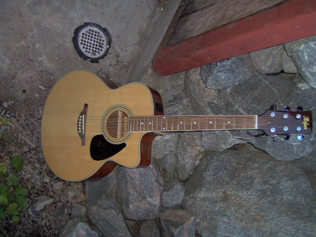 Höfner 014.jpg
