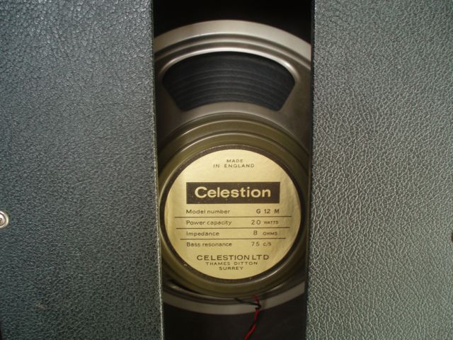 Celestion close.jpg