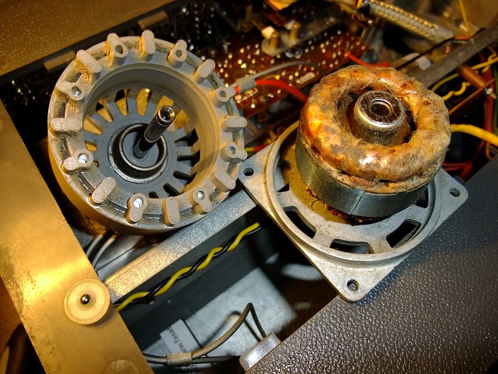 DSCF5491.jpg
