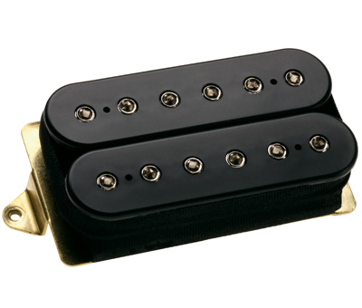dp100bk.jpg