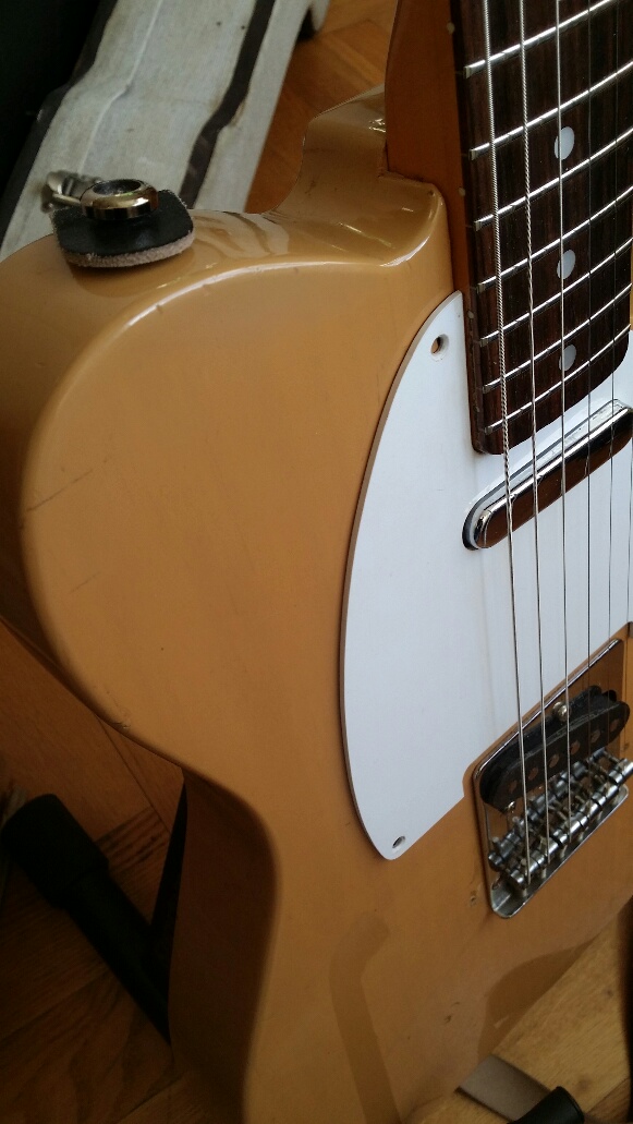 Tokai-guard.jpg
