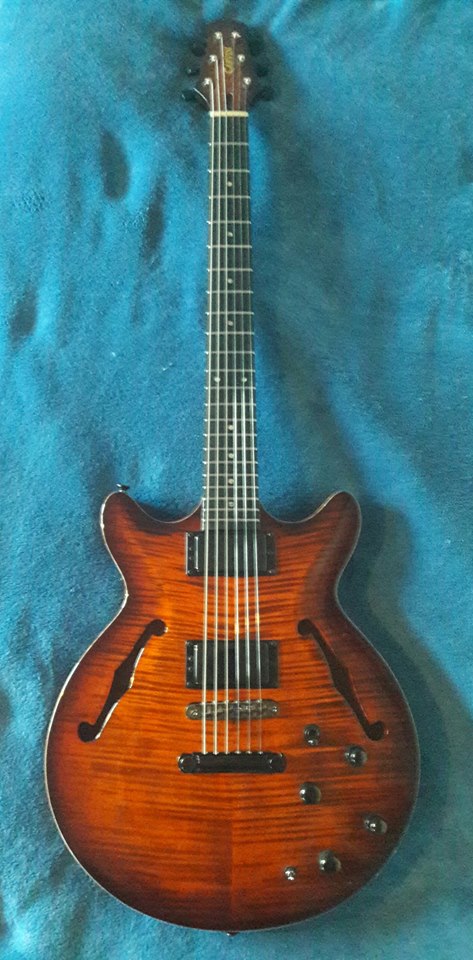 Carvin FG1.jpg