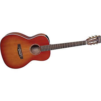 takamine eg630s vv.jpg