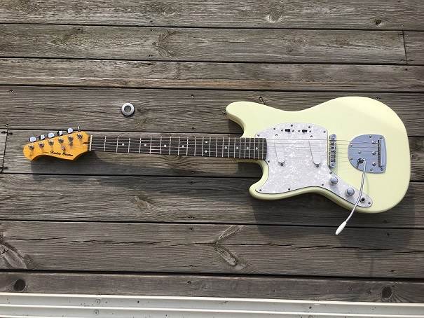 HB Mustang VT series.JPG