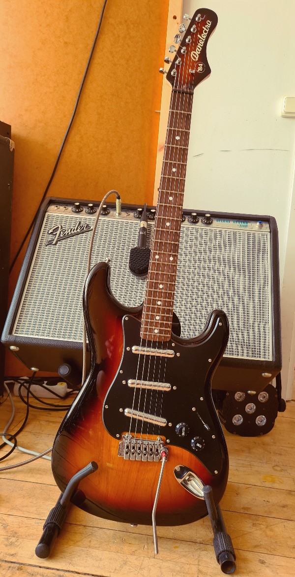 danelectro84a.jpg